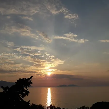 Sofia S Sunset View